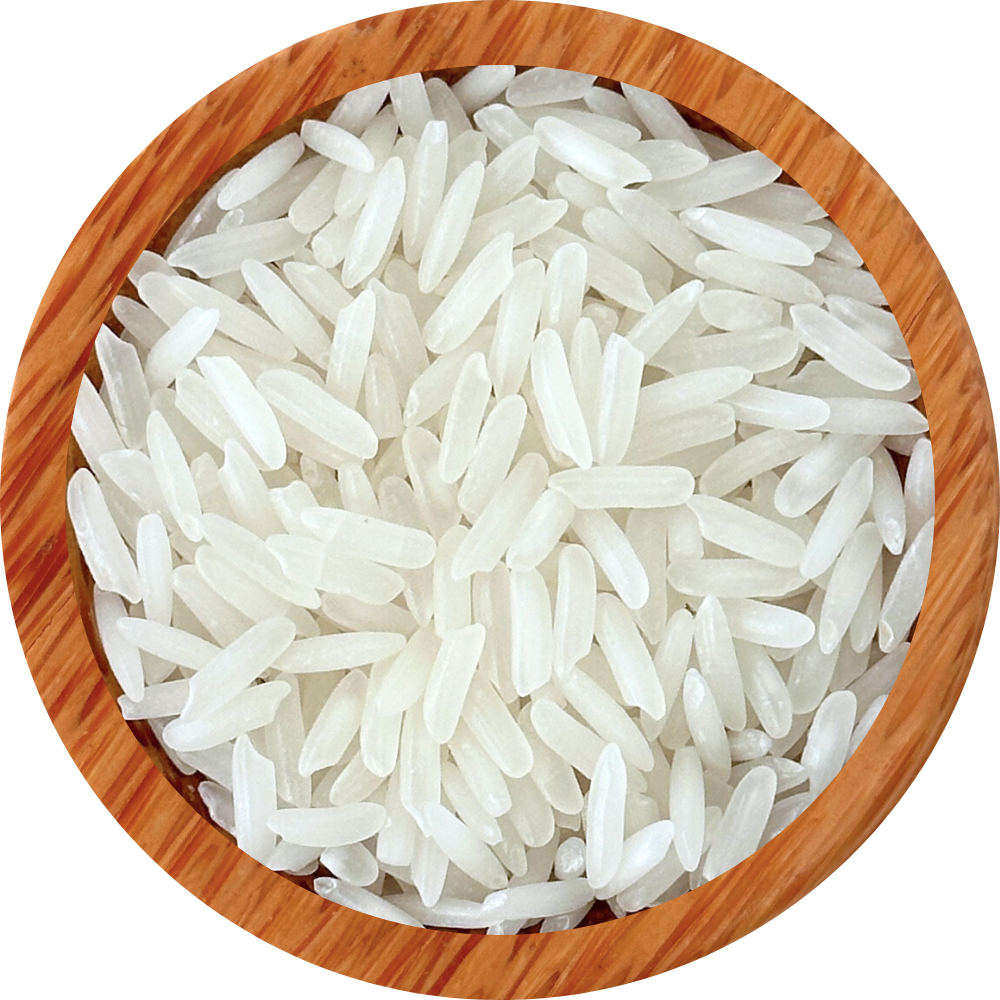 Brown / Healthy Rice